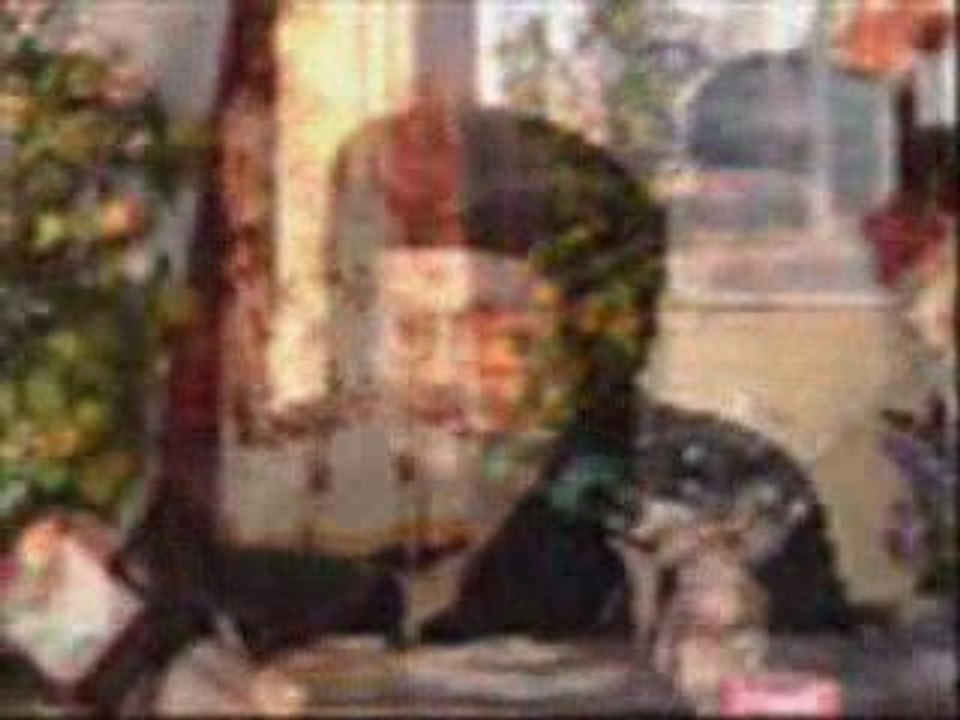معجزات البابا شنوده كما يرويها الأنبا بيشوي داخل الكنيسه