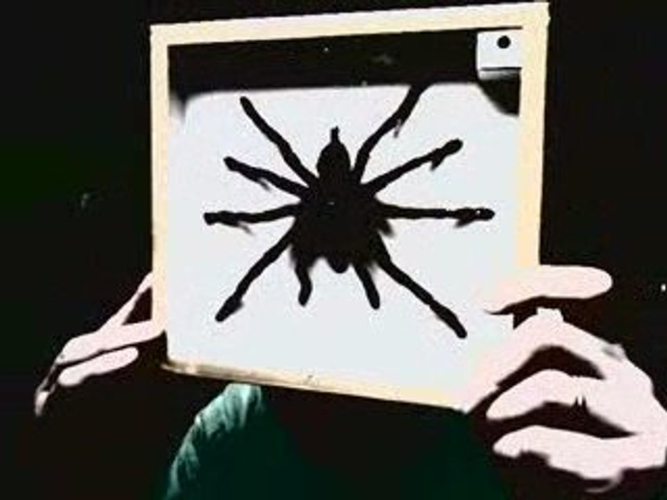 L'empoisonnement par la loi du codex alimentarius...arrive !