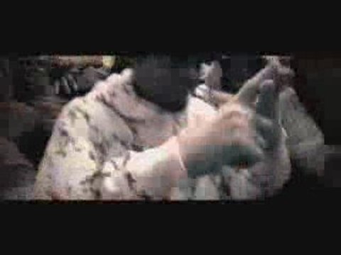 Sexion D'assaut-T'ES BETE OU QUOI