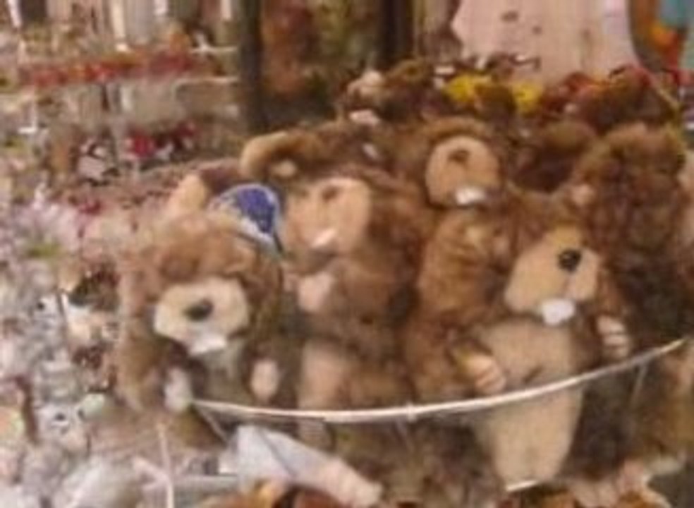 Moi et mes autres moi - Le looser