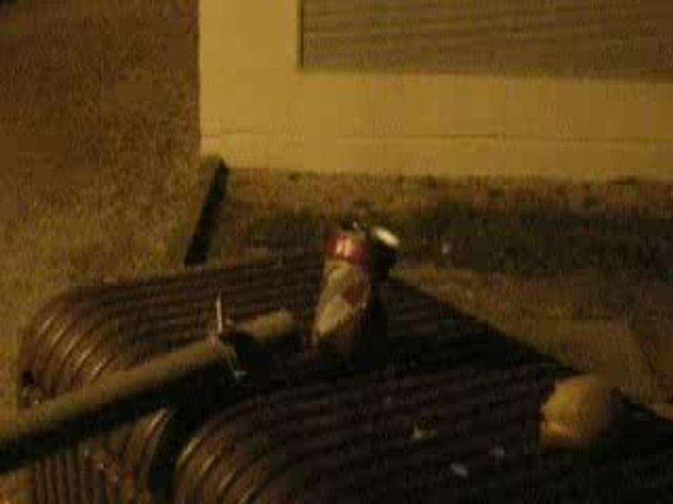 Parodie Retour Vers Le Futur