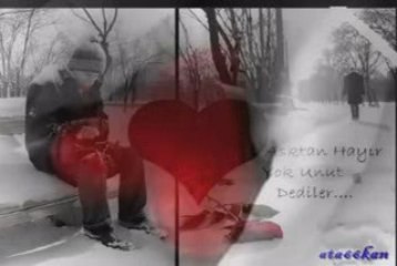 Olamam Sensiz Yapamam Sevgisiz (ata66kan)