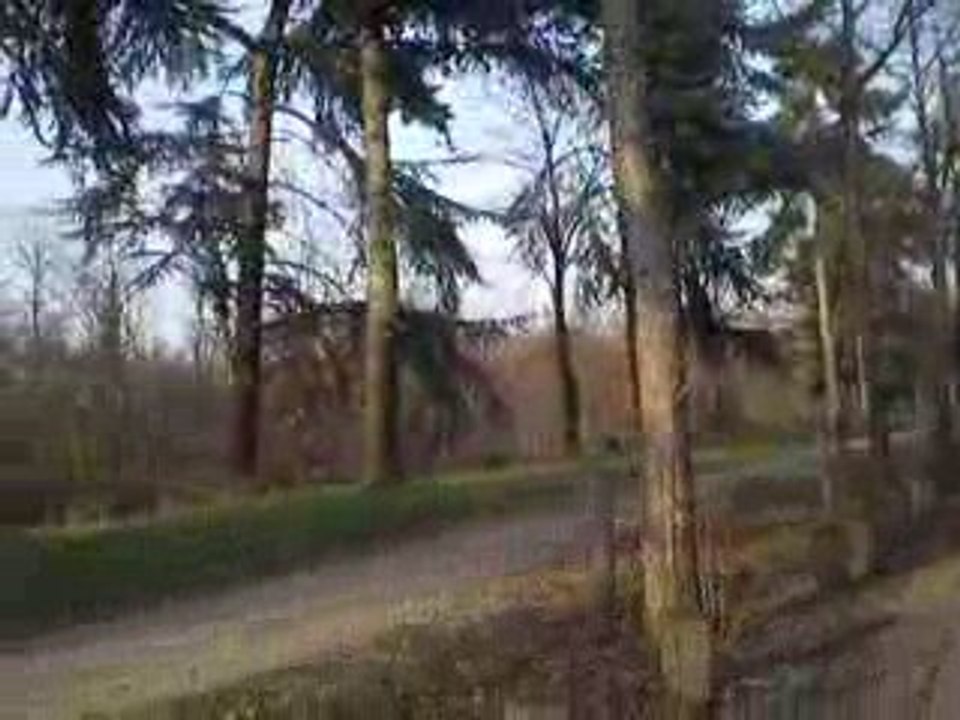 mehdi pisse dans le bois de boubou