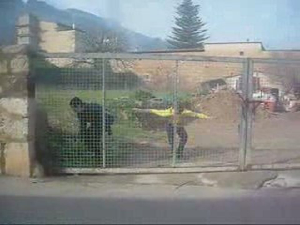 Parkour  TrainingTeam 2