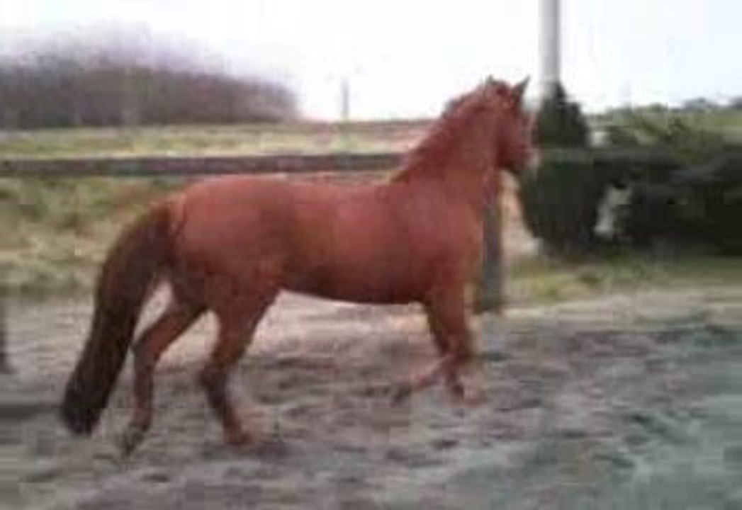 Naturelle en liberté (L)