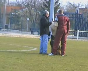 C'max defense RCI2 ambes 14.02.2009