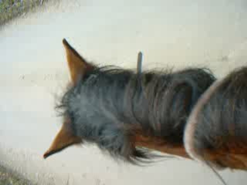 DSCF0076