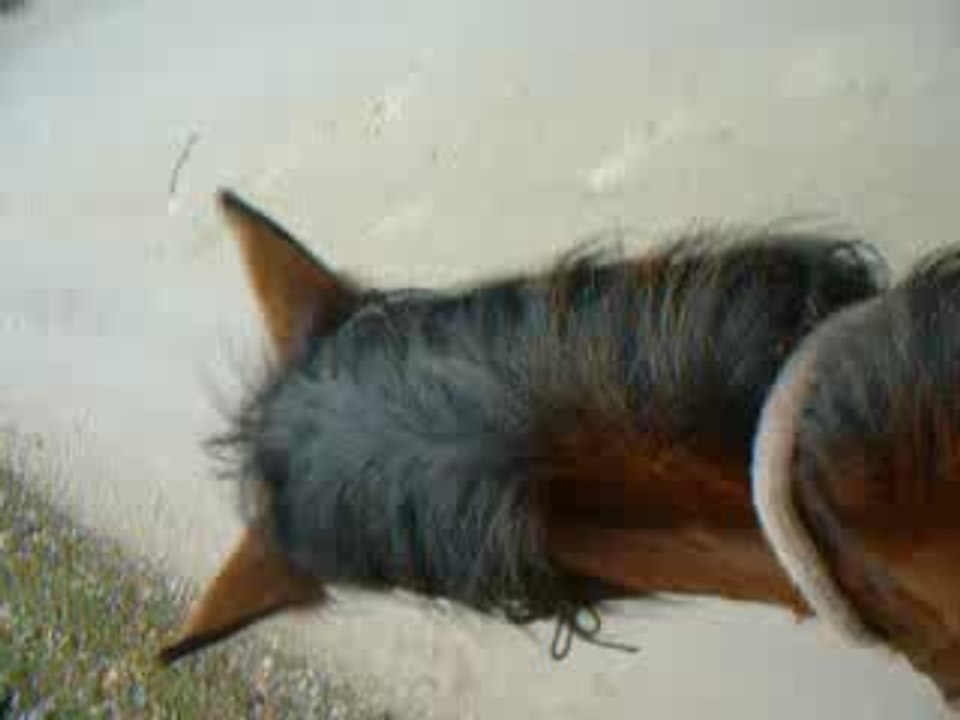 DSCF0077