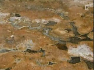 Arte Rencontre Avec Les Extra-Terrestre part 2