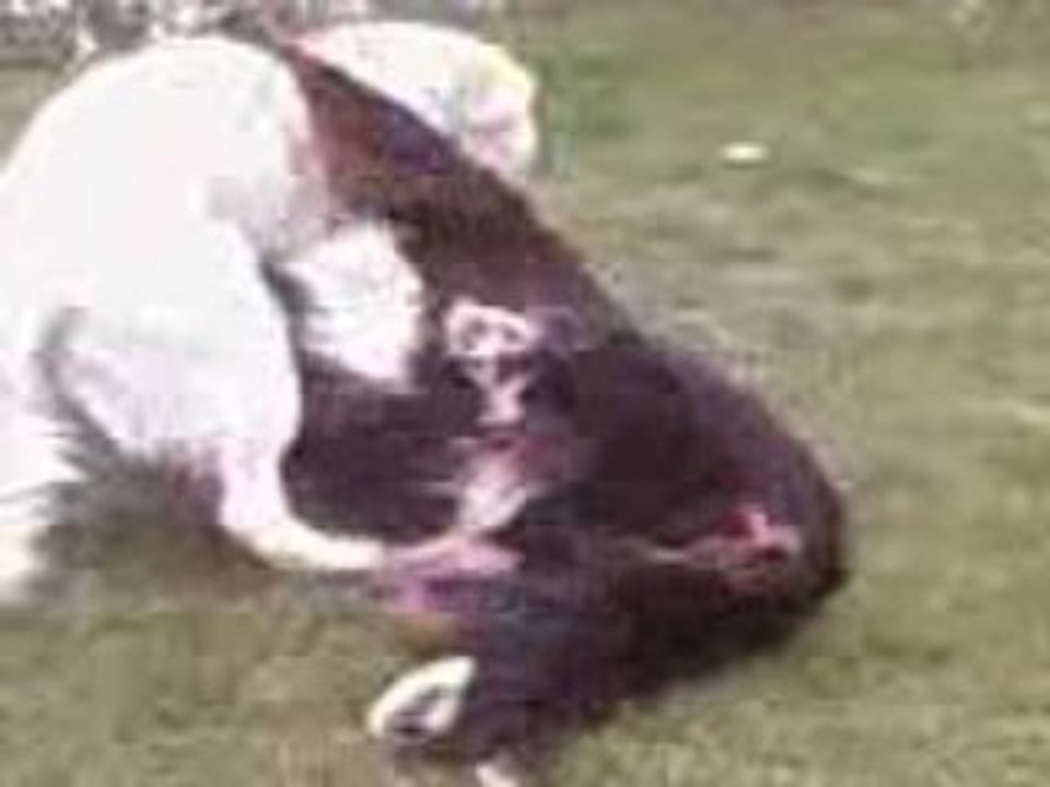 Vidéo0066