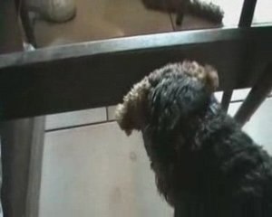 Anniversaire Faya 2009_03_14_16_37_11