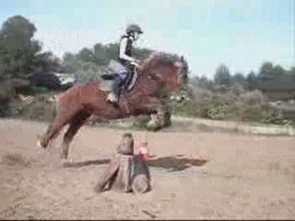 14.03.09 cross 3