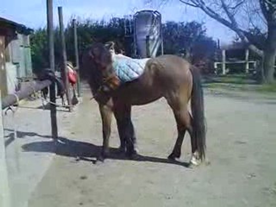 le 1e tapis