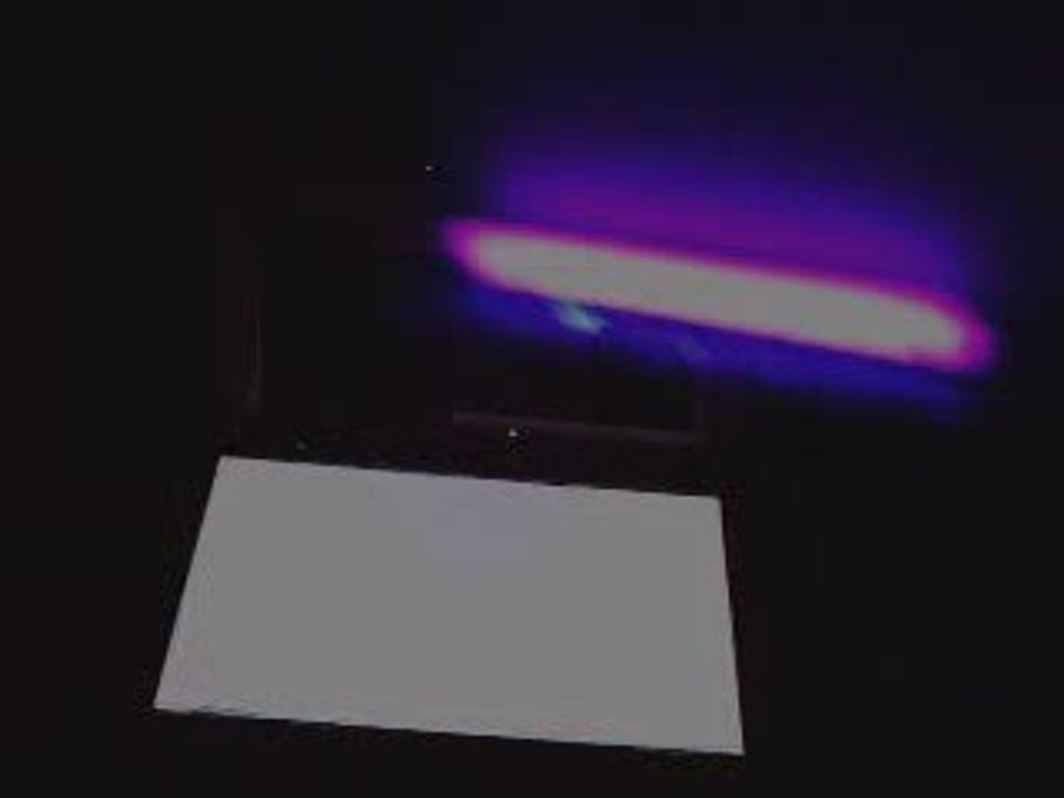 our code load feat species cruzing