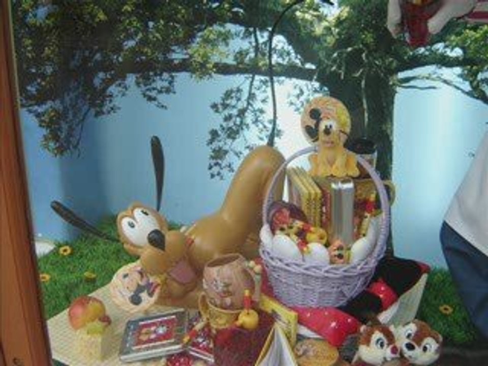 DLRP, 10 mars 2009 : les vitrines