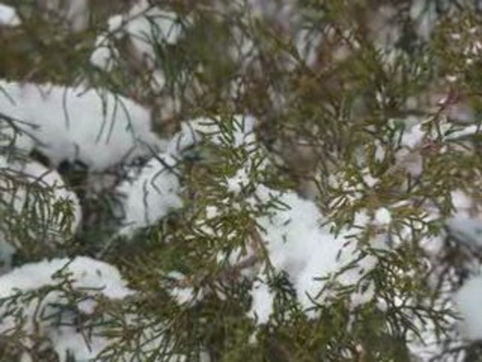Jour de neige 090302