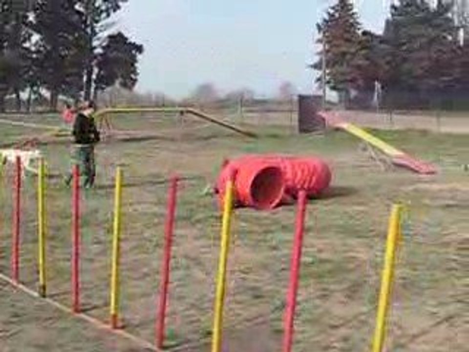 Bambou agility - Google nbsp;Video