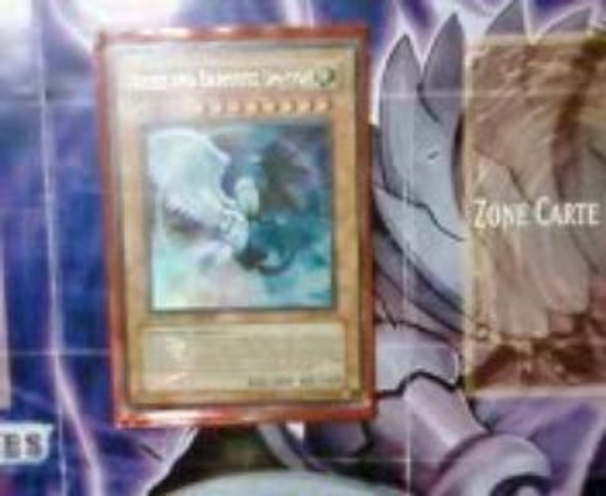 Light and darkness dragon