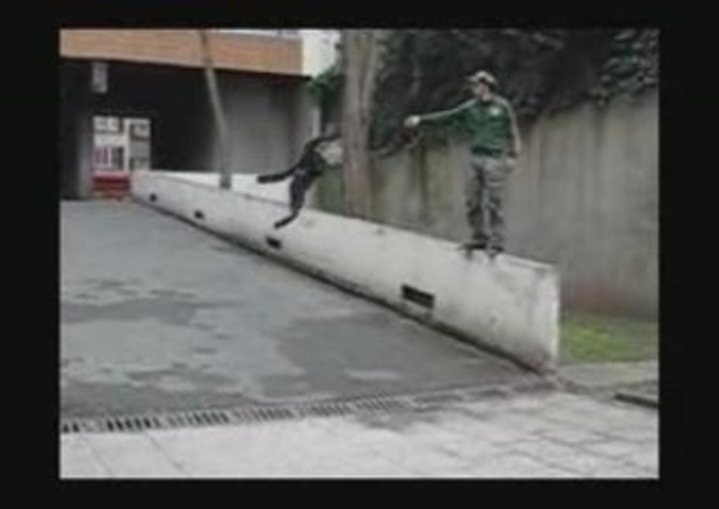 sans titre