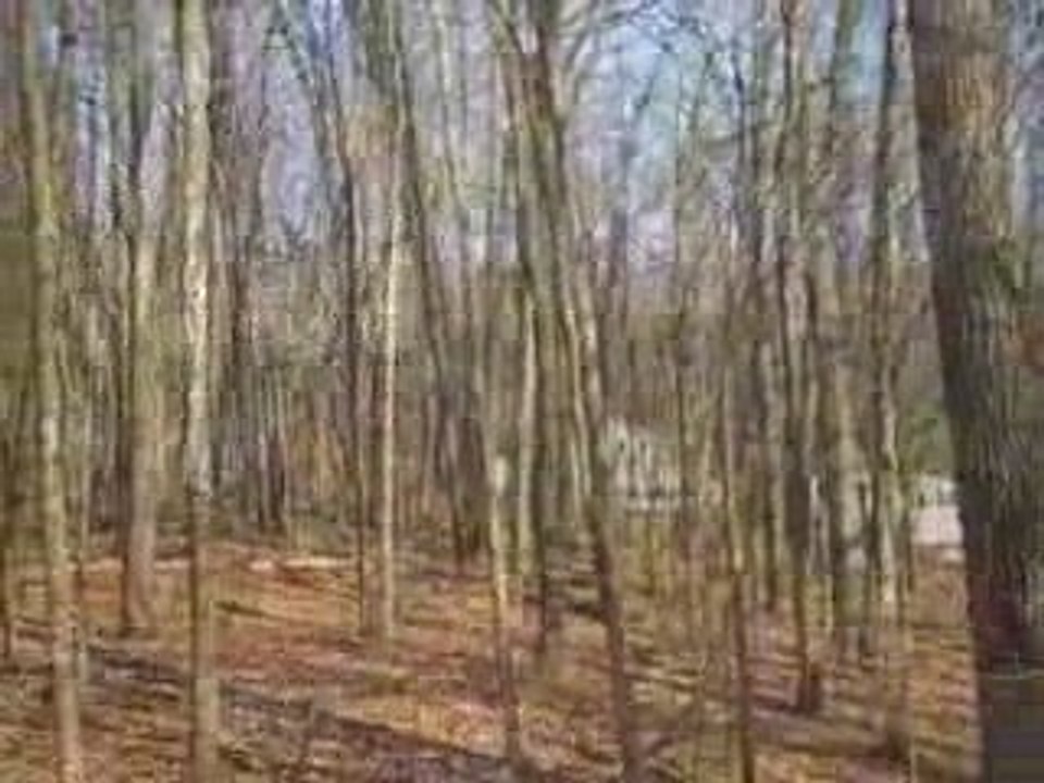 Home for sale Paw Paw Lake near Kalamazoo MI