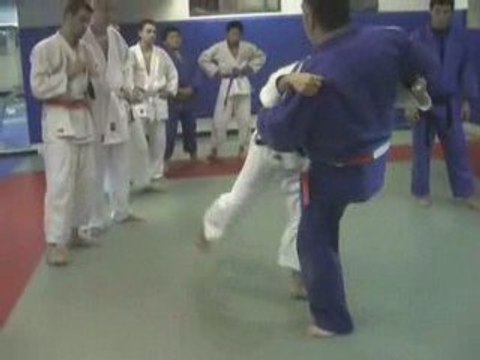 Harai Tsuri-Komi Ashi