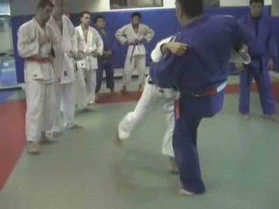 Harai Tsuri-Komi Ashi