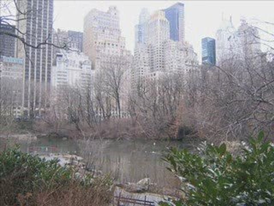 Ny