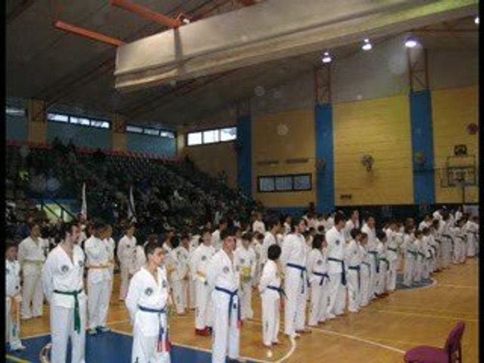 Taekwon-Do ITF - Ashdod - Activities - 2006