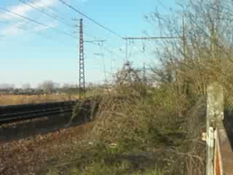 Petit reportage
