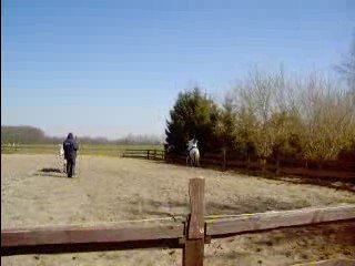 Saphir galop