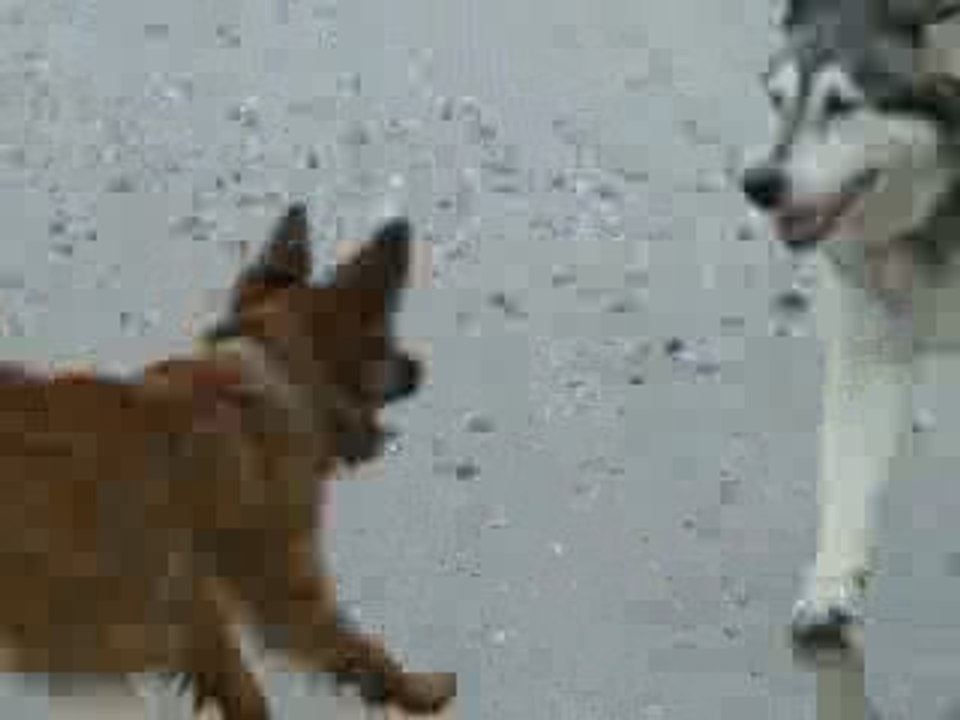 Vidéo (7) 02.01.09