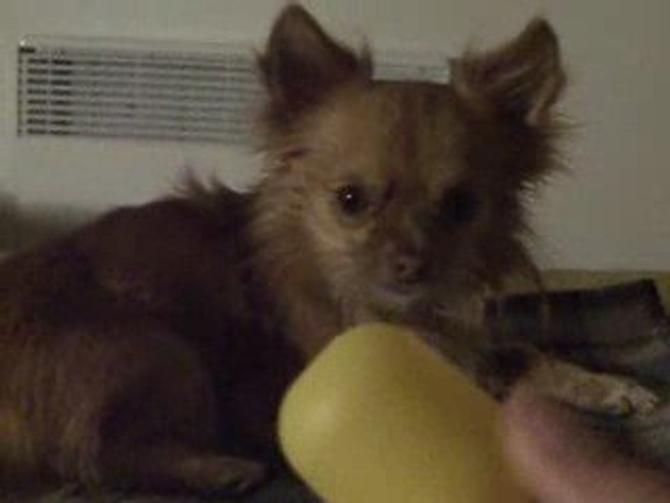 Bounty ouvre oeuf kinder