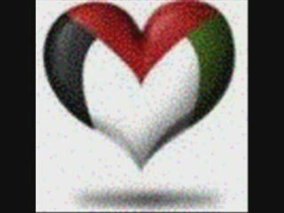 *** gaza *** les criminels avouent ***