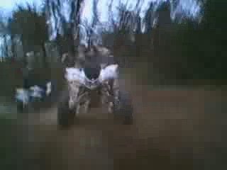 PETITE BOURRE A LA SPECIALE_