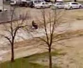 125 yz à St hilaire