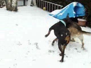 ma petite boite a connerie !