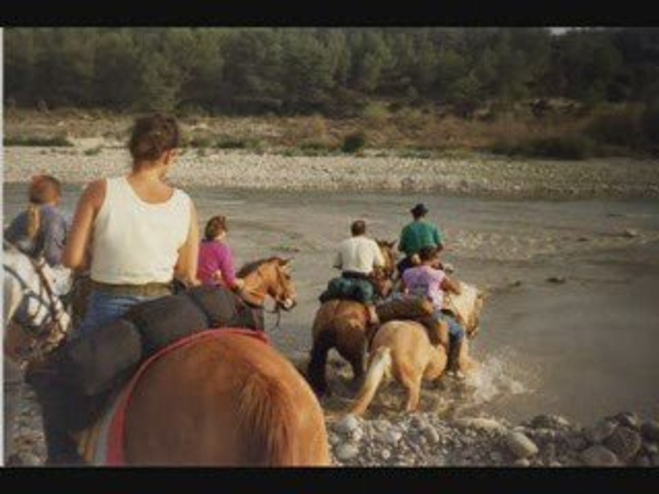 Promenade à cheval entre amis