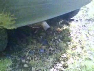 un petit bruit simpa