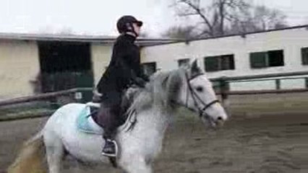 SDC10907