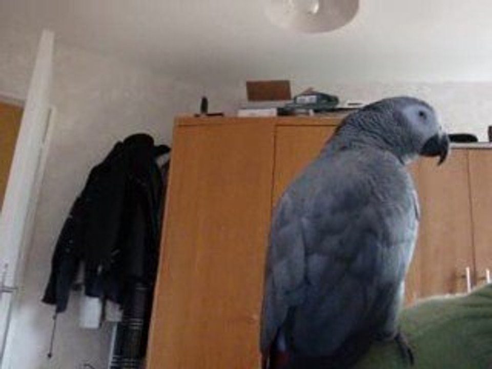 dou dou dou je chante