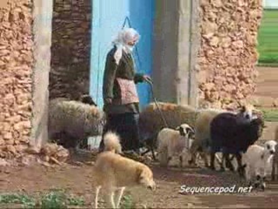 Scenes de Vie au Maroc