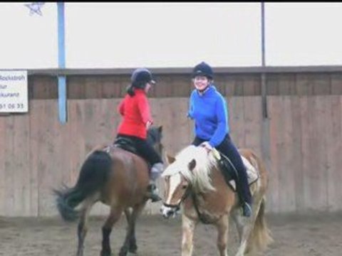 Mounted Games Reiten in Leipzig (Sachsen)