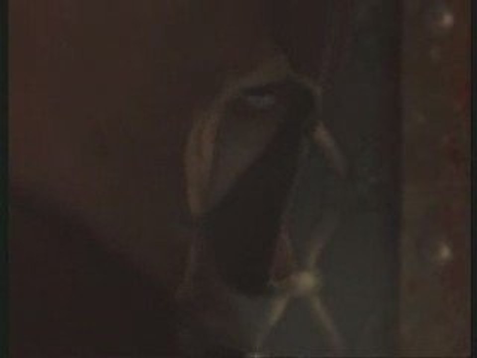 Best Trailer "prince of persia warrior within"