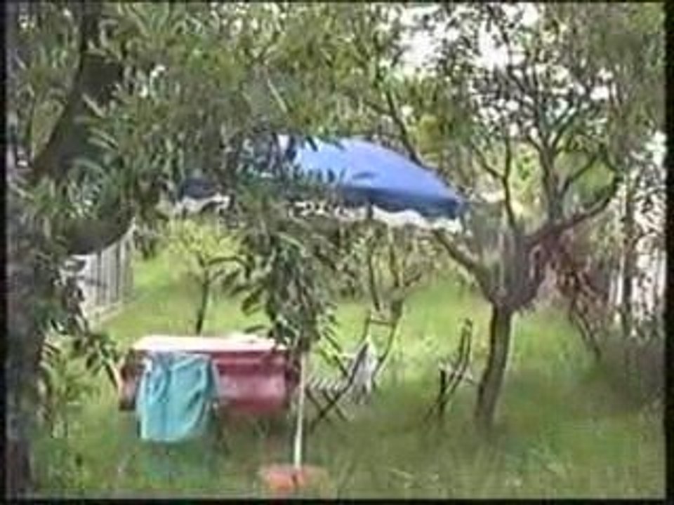 HOMMAGE A ALAIN BASHUNG MADAME RV