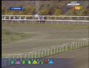 2009 (53) P.Bigmat Moreno Comercial (LISSELAN HURRICANE)