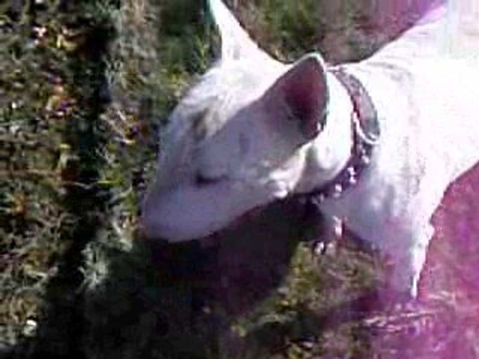 casper