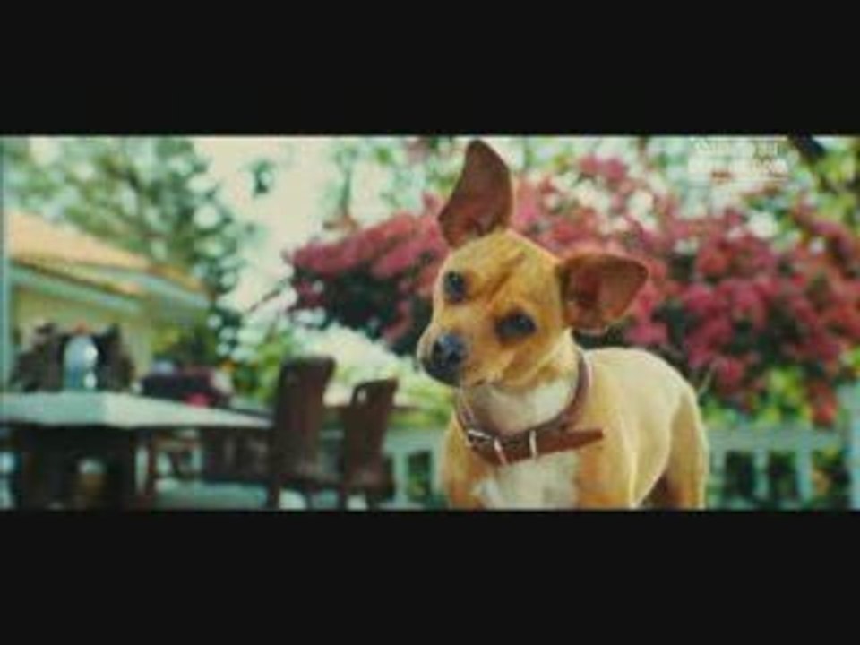 Le Chihuahua de Beverly Hills Bande Annonce VF