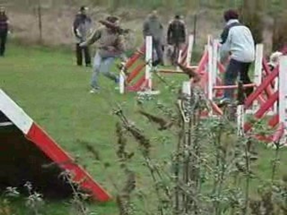 Premier cours d'agility avec Bliss