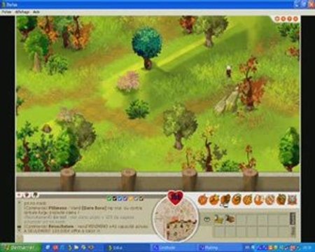 Dofus - Xelor feu lvl 34