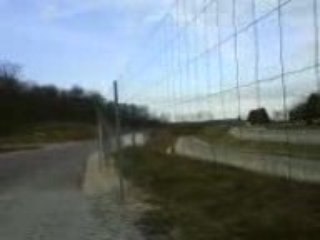 106 rallye kitkat AVEC 100 PONEY